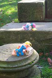 The ponies jump on the stones
